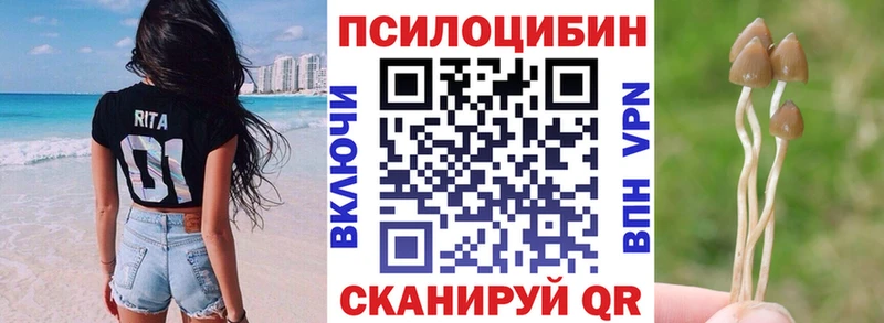 Галлюциногенные грибы мицелий  Новотроицк 