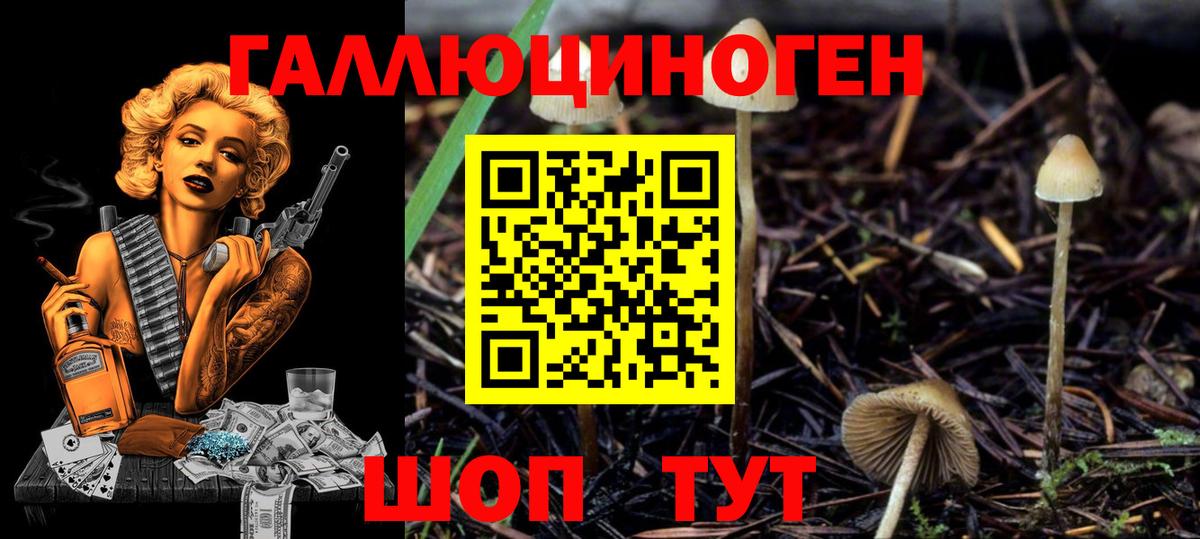 Галлюциногенные грибы Magic Shrooms  Вход с VPN  Новотроицк  Псилоцибиновые грибы Psilocybe 